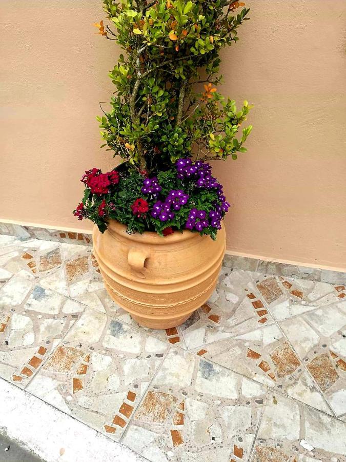Apartment Joy New Port Corfu Town *